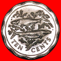 * GREAT BRITAIN (1974-2005): THE BAHAMAS ★ 10 CENTS 1998! MINT LUSTRE! FISHES AND SHIP!  LOW START ★ NO RESERVE! - Bahama's