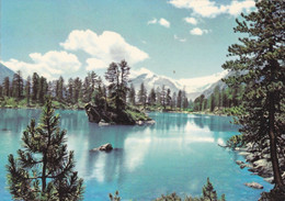 (C-ST334) - POSCHIAVO (Grisons) - Lago Saoseo Con Vista Sul Piz Palù (Val Di Campo) - Poschiavo