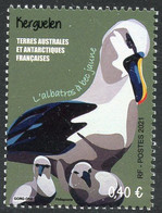 TAAF (2021) LES TAAF EN GRAAF Kerguelen Albatros à Bec Jaune, Thalassarche Chlororhynchos, Yellow-nosed Albatross - Nuevos