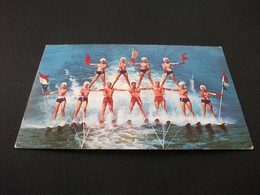 SCI NAUTICO SCI ACQUATICO Gruppo 8 Pin Up Con Tre Uomini Centrali SCI SHOW FLORIDA'S FABULOUS CYPRESS GARDENS PYRAMID - Water-skiing