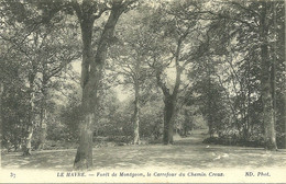 76  LE HAVRE - FORET DE MONTGERON - LE CARREFOUR DU CHEMIN CREUX (ref A2034) - Forêt De Montgeon