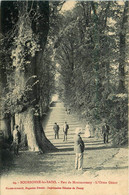 Bourbonne Les Bains * Le Parc De Montmorency * L'orme Géant * Arbre - Bourbonne Les Bains