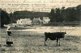 Fouesnant * La Forêt * Vue Générale De L'anse * Villageoise En Coiffe - Fouesnant