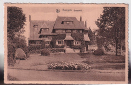 EVERGEM  GROENVELD - Evergem