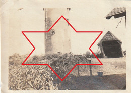 Photo 1919 SAVENAY - Un Moulin à Vent (A234, Ww1, Wk 1) - Savenay