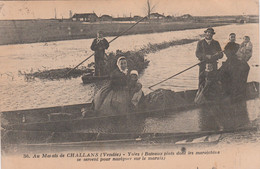 85 CHALLANS  Au Marais -Yoles(Bateaux Plats Dont Les Maraichins Se Servent Pour Naviguer Sur Les Marais)  TB PLAN  RARE - Challans