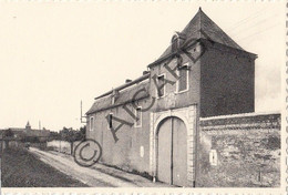 Postkaart/Carte Postale - BIERBEEK - Schottenshof  (A464) - Bierbeek