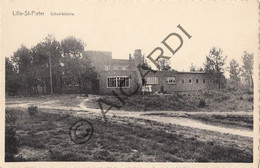 Postkaart/Carte Postale - LILLE - St-Pieters-Lille - Schoolkolonie (A428) - Lille