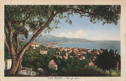 San Remo Fra Gli Ulivi - San Remo