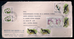 Argentine - Enveloppe En Circulation Avec Cachets Spéciaux - Covers & Documents