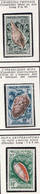 WALLIS & FUTUNA - Faune, Coquillages - Y&T N° 162-167 - MNH - Neufs