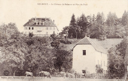 39  Jura  -  Belmont  -  Le  Château  De  Belmont  Et  Plan  Du  Pont - Other & Unclassified