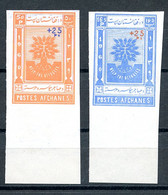Afghanistan, 1960, World Refugee Year, United Nations, Overprinted, MNH Imperforated, Michel 513-514Ba - Afghanistan