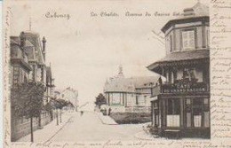 (08) CABOURG. Les Chalets. Avenue Du Casino Est (Café Du Grand Balcon E. VIEILPEAU) - Cabourg