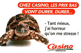 CPM - TORTUE Illustration - Publicité Casino Supermarchés - Edition Pub - Tortues
