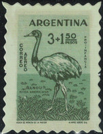 Argentine Timbre Fictif Autocollant Oiseau Rhea Americana Nandou D'Amérique Scrapbooking - Scrapbooking