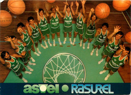 Basket Ball * Sport * ASVEL * équipe De Basketteur * Association Sportive De Villeurbanne éveil Lyonnais * 1981 1982 - Basket-ball