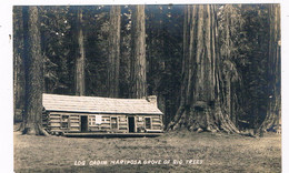 AM-138   YOSEMITE NATIONAL PARK : MARIPOSA GROVE - Log Cabin - Yosemite