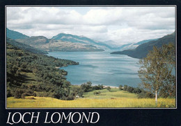 5 AK Schottland / Scotland * Der See Loch-Lomond - Der Größte See Schottlands Und Der Gesamten Insel Großbritannien * - Dunbartonshire