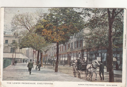 A3598) The LOWER PROMENADE CHELTENHAM - Burrow Publisher Signiert  OLD KUTSCHE 1907 - Cheltenham