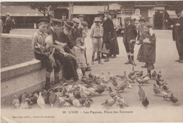 LYON -Les Pigeons , Place Des Terreaux - Lyon 4