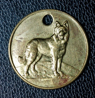 Jeton De Taxe Sur Les Chiens "Vacciné Contre La Rage" Médaille De Chien - Dog License Tax Tag - Monetary / Of Necessity
