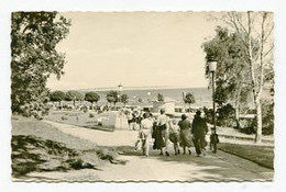 AK 014473 GERMANY - Göhren / Rügen - Weg Zum Strand - Göhren