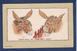 CPA Ane Donkey Circulé Humour - Donkeys