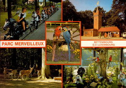 BETTEMBOURG  ( LUXEMBOURG )  SOUVENIR DU PARC MERVEILLEUX - Bettemburg