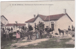 Ile D'Oléron, Etablissement Papinaud-Moreau à La Cotinière - Ile D'Oléron