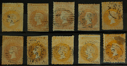 Australia South Australia Small Coll. Of Ten 1858/59 2d Red's On A Card. - Collections (with Albums)