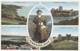 PEMBROKE DOCK MULTI VIEW - Pembrokeshire