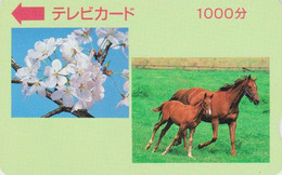 RARE Carte Prépayée JAPON - ANIMAL - CHEVAL  - HORSE JAPAN Prepaid TV Television Card - BE 353 - Horses