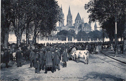 Caen Place Du Parc Un Jour De Foire  Marché Aux Bovins - Fairs