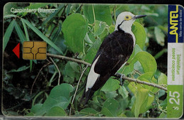 URUGUAY 2000 PHONECARD BIRDS USED VF!! - Altri