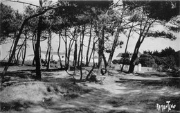 Noirmoutier * Le Bois De La Chaise Vers La Claire - Noirmoutier