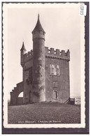 BOUDRY - CHATEAU DE PIERRE - TB - Boudry