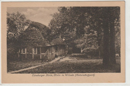 Lüneburger Heide - Lüneburger Heide