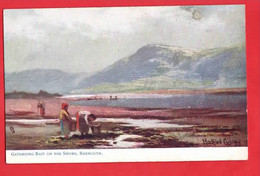 UK WALES CAERNARVONSHIRE  BARMOUTH GATHERING BAIT ON THE SHORE  RAPHAEL TUCK SERIES - Merionethshire