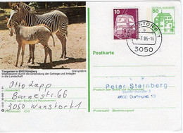 50258 -  Bund - 1985 - 50Pfg. B&S Bild-GAKte. "Zebra" WUNSTORF -> Dortmund - Caballos