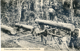 Nouvelle Guinée - Frères Coadjuteurs à La Scierie - Scieurs De Long Sur Chevalet - Papua-Neuguinea