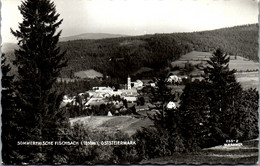 21635 - Steiermark - Fischbach , Panorama - Weiz