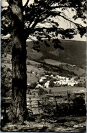 21637 - Steiermark - Fischbach , Panorama - Weiz