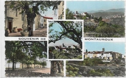 D83.  MONTAUROUX. SOUVENIR - Montauroux