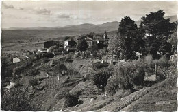 D83.  MONTAUROUX. VUE PANORAMIQUE - Montauroux