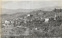 D83.  MONTAUROUX. VUE SUR CALLIAN - Montauroux