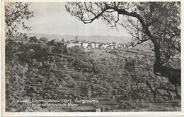 D83.  MONTAUROUX. VUE GENERALE - Montauroux