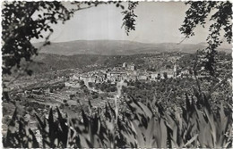 D83.  MONTAUROUX. VUE GENERALE - Montauroux