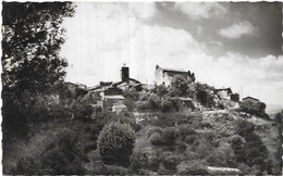 D83.  MONTAUROUX.LE VIEUX VILLAGE - Montauroux