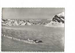 Les Diablerets (Suisse, Vaud) :  Vue Aérienne Sur Un Avion Bimoteur Déposant De Skieurs Sur Le Glacier En 1950 (animé)GF - VD Vaud